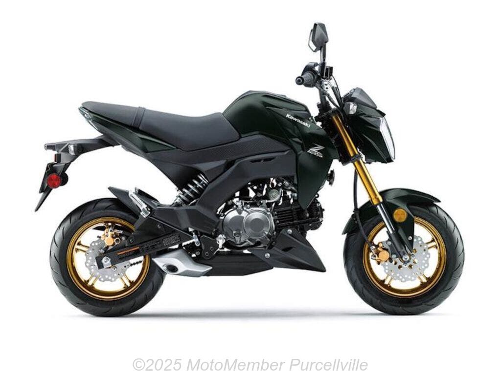 Standard Motorcycle For Sale - 2025 Kawasaki Z125 PRO | Rev &amp; Roam