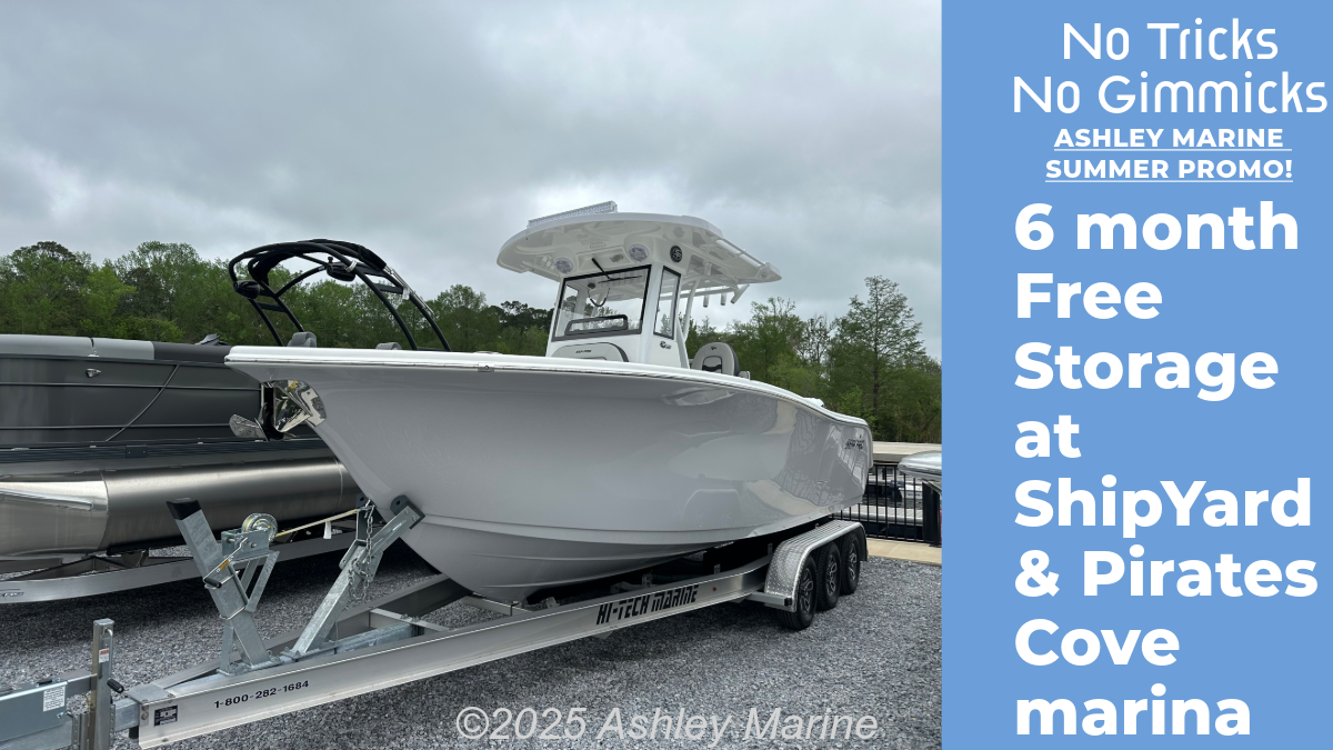 2025 Sea Pro 262 DLX