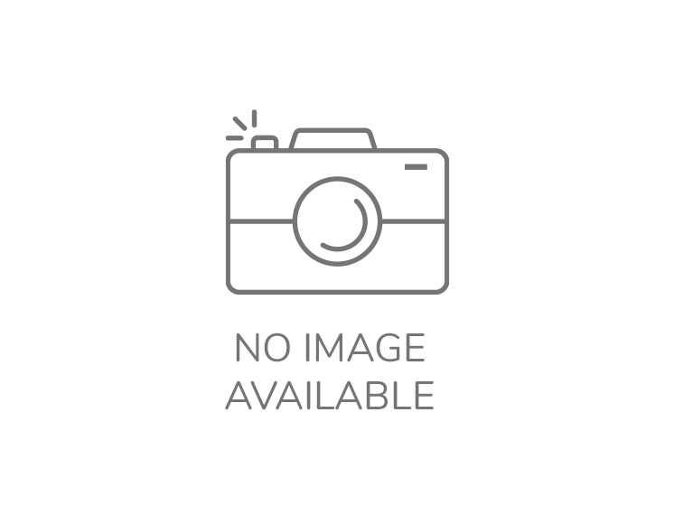 2026 Honda Rebel 1100